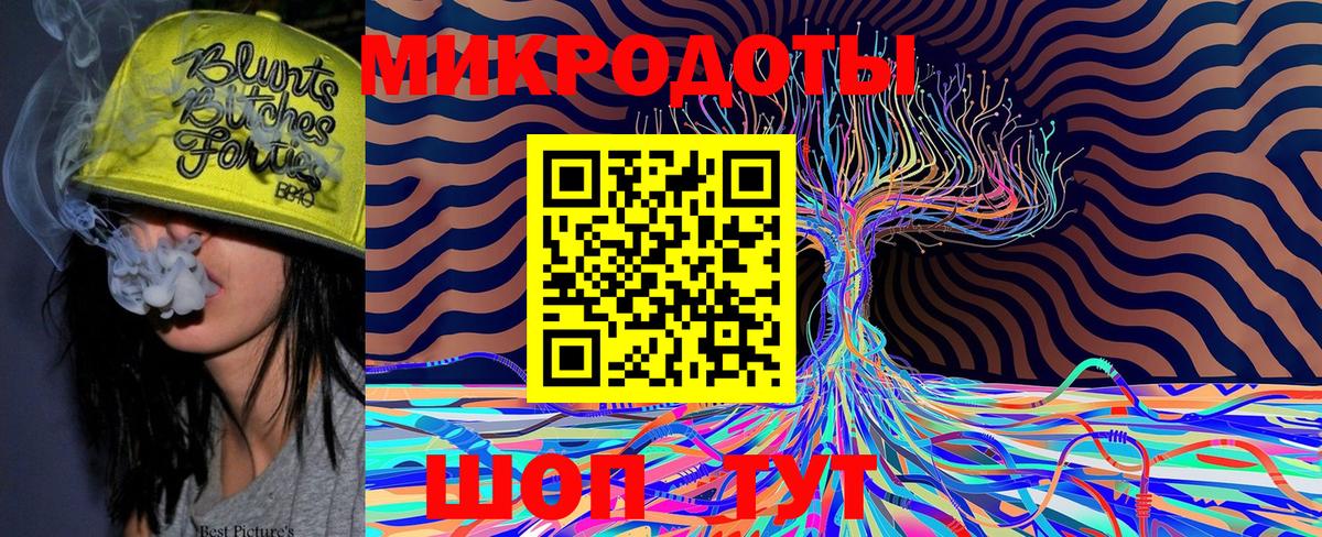 Славгород  Псилоцибиновые грибы Psilocybe  Вход с VPN 