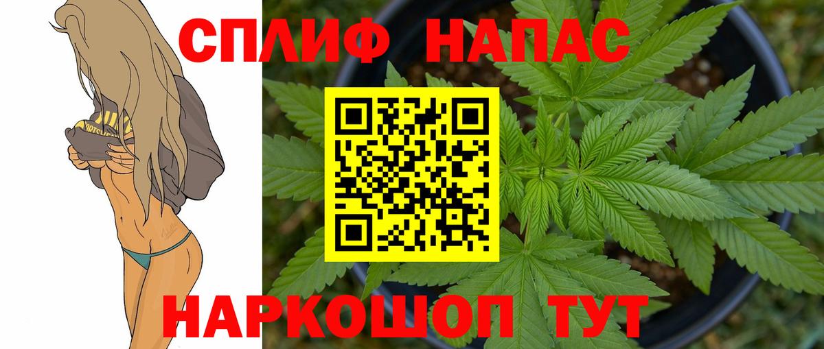 Марихуана конопля Славгород